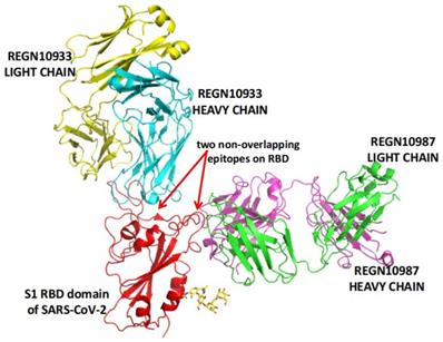 Int J Biol Sci Image