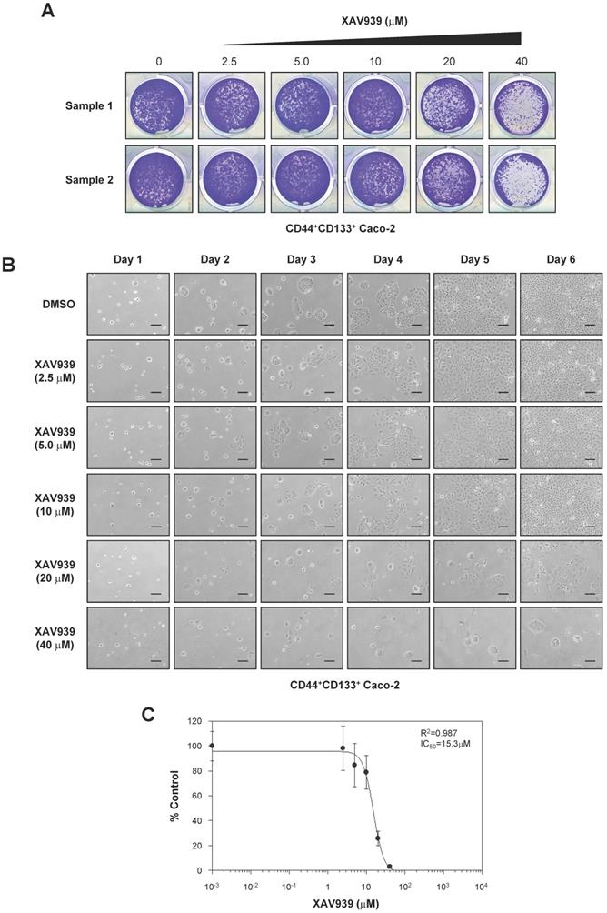 Int J Biol Sci Image