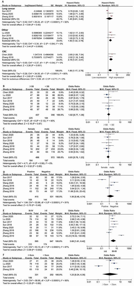 Int J Biol Sci Image