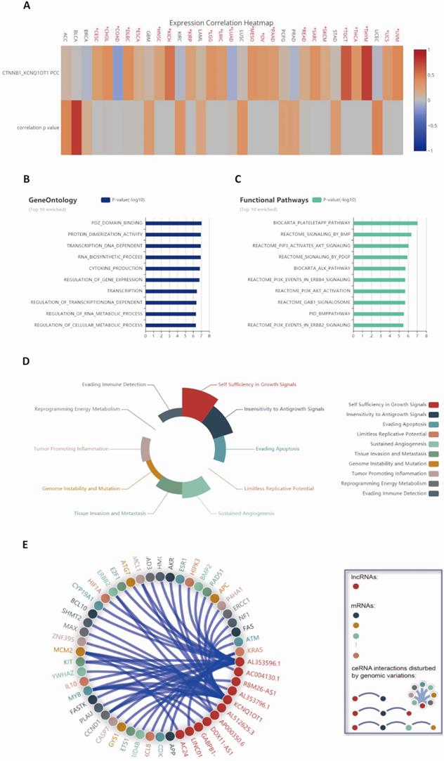Int J Biol Sci Image