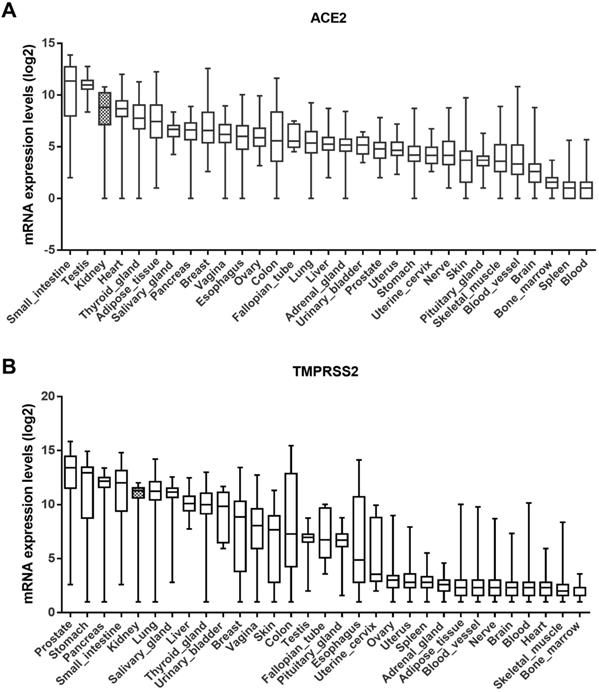 Int J Biol Sci Image