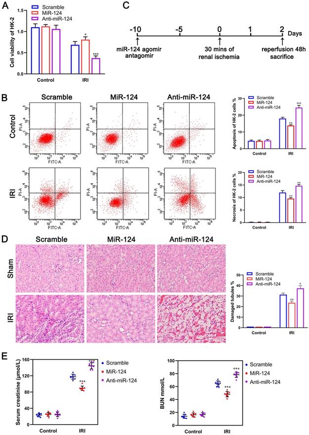 Int J Biol Sci Image