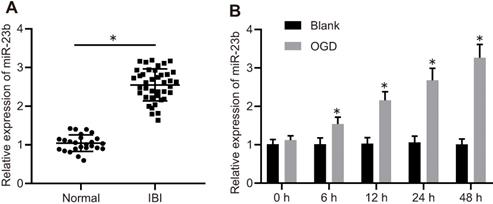Int J Biol Sci Image