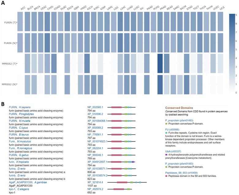 Int J Biol Sci Image