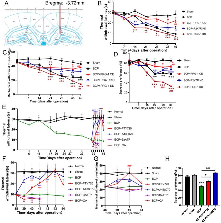 Int J Biol Sci Image