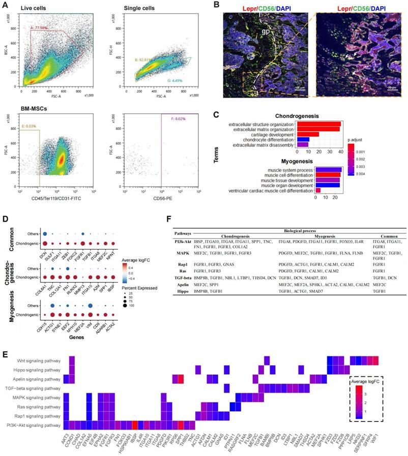Int J Biol Sci Image