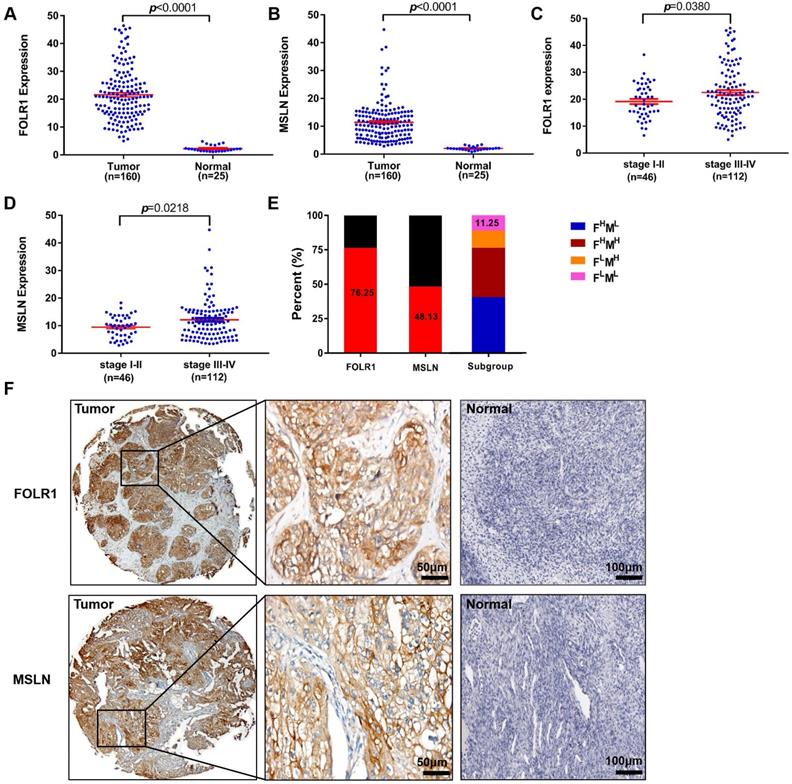 Int J Biol Sci Image