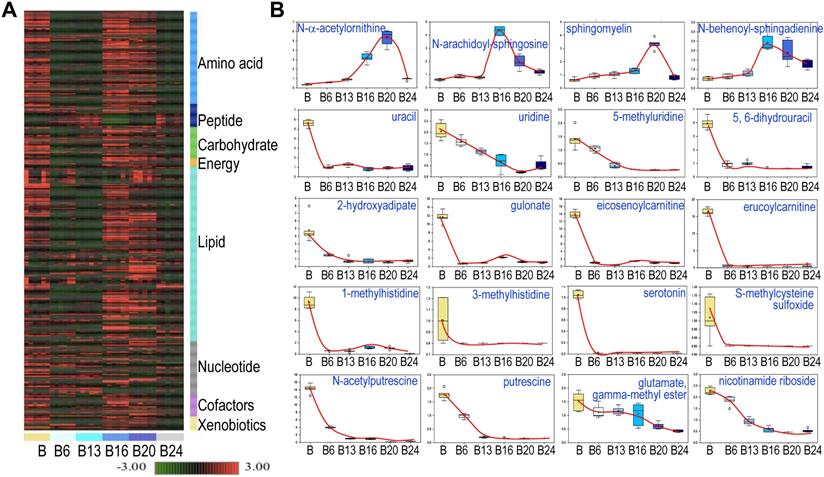 Int J Biol Sci Image