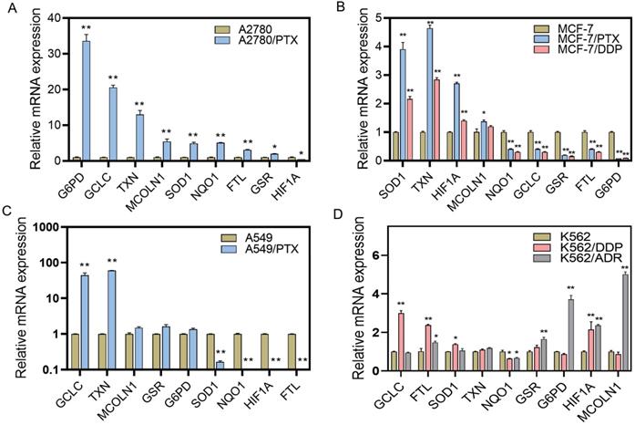 Int J Biol Sci Image