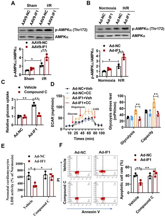 Int J Biol Sci Image