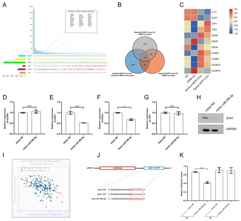 Int J Biol Sci Image