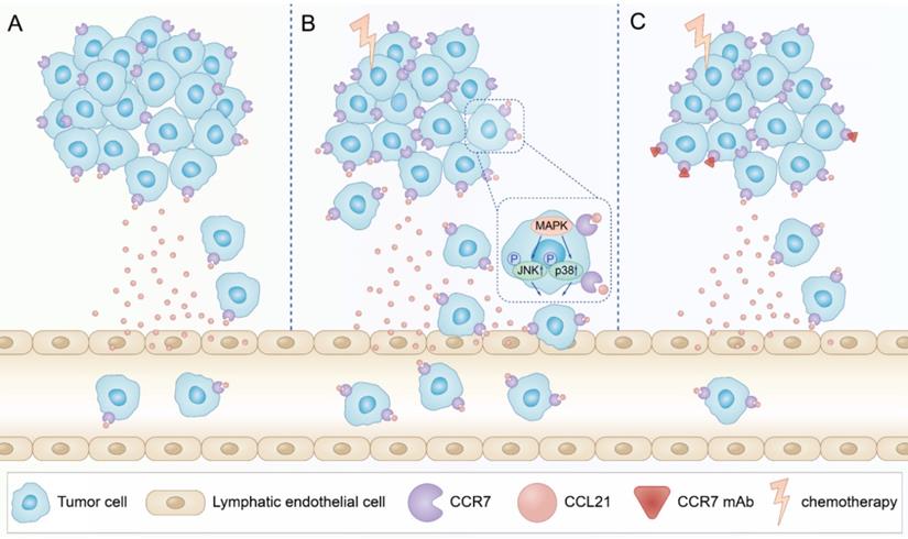 Int J Biol Sci Image