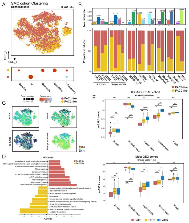 Int J Biol Sci Image
