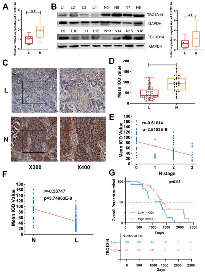 Int J Biol Sci Image