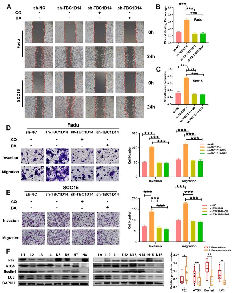 Int J Biol Sci Image