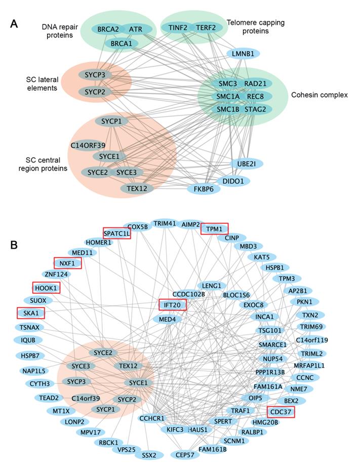 Int J Biol Sci Image