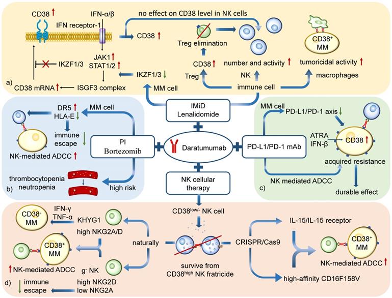 Int J Biol Sci Image