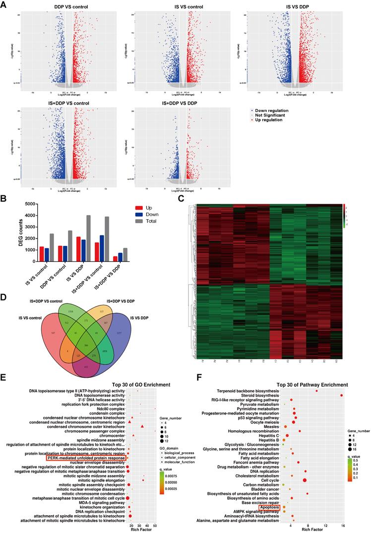 Int J Biol Sci Image