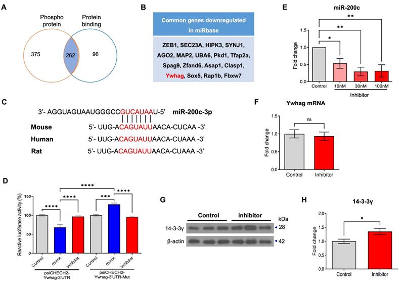 Int J Biol Sci Image