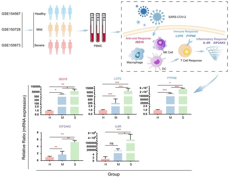 Int J Biol Sci Image