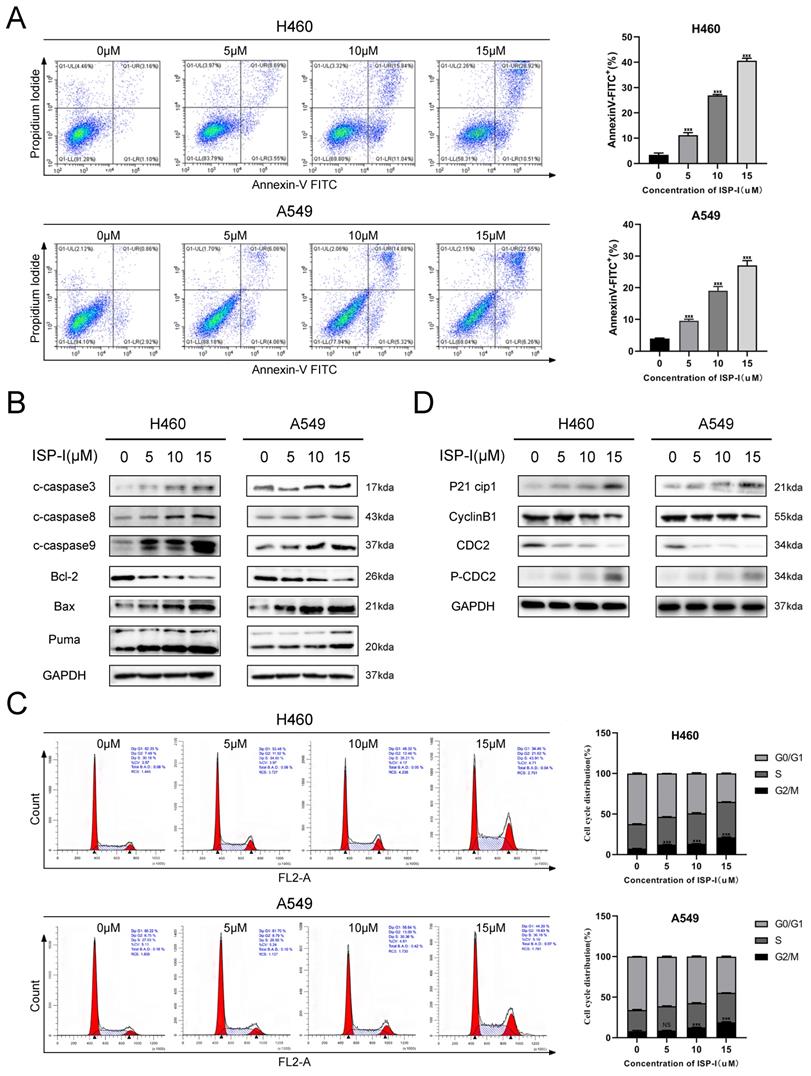 Int J Biol Sci Image