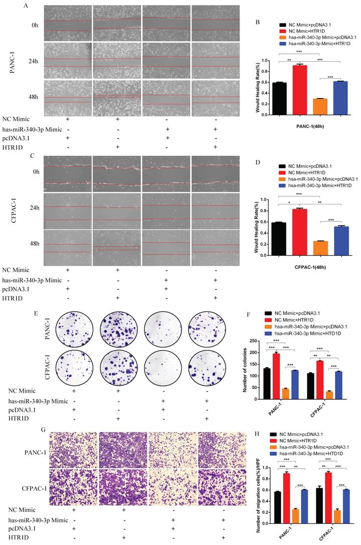 Int J Biol Sci Image