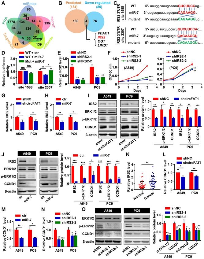 Int J Biol Sci Image