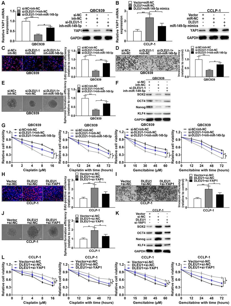 Int J Biol Sci Image