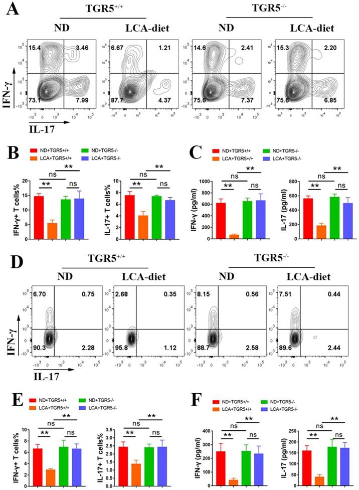 Int J Biol Sci Image