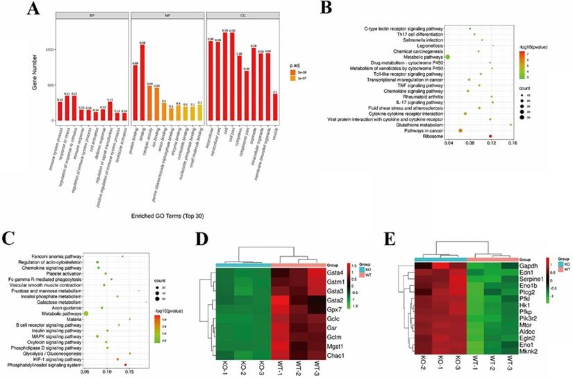 Int J Biol Sci Image