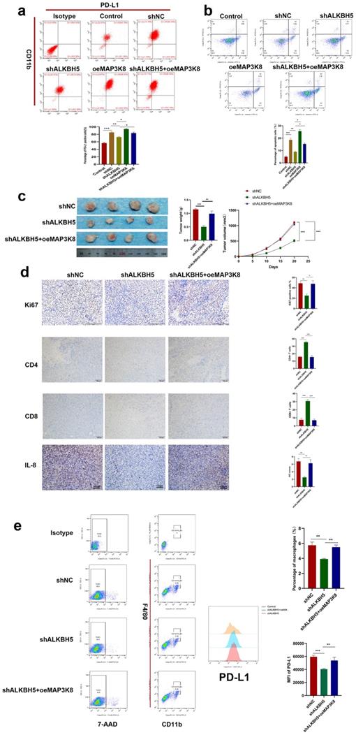 Int J Biol Sci Image