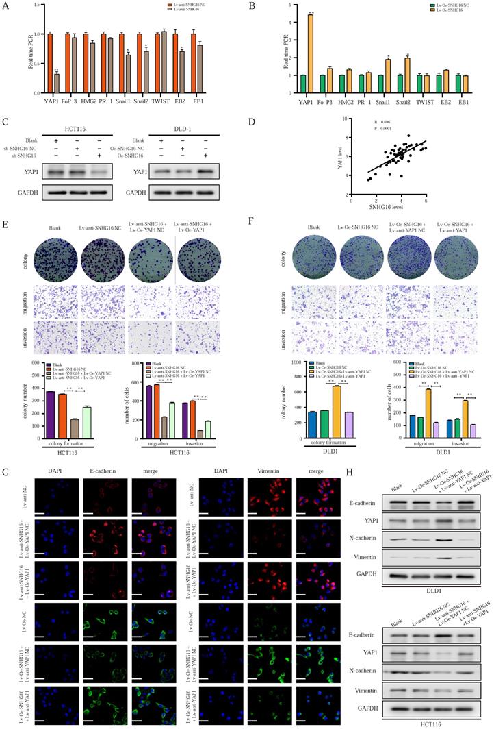 Int J Biol Sci Image