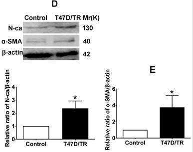 Int J Biol Sci Image