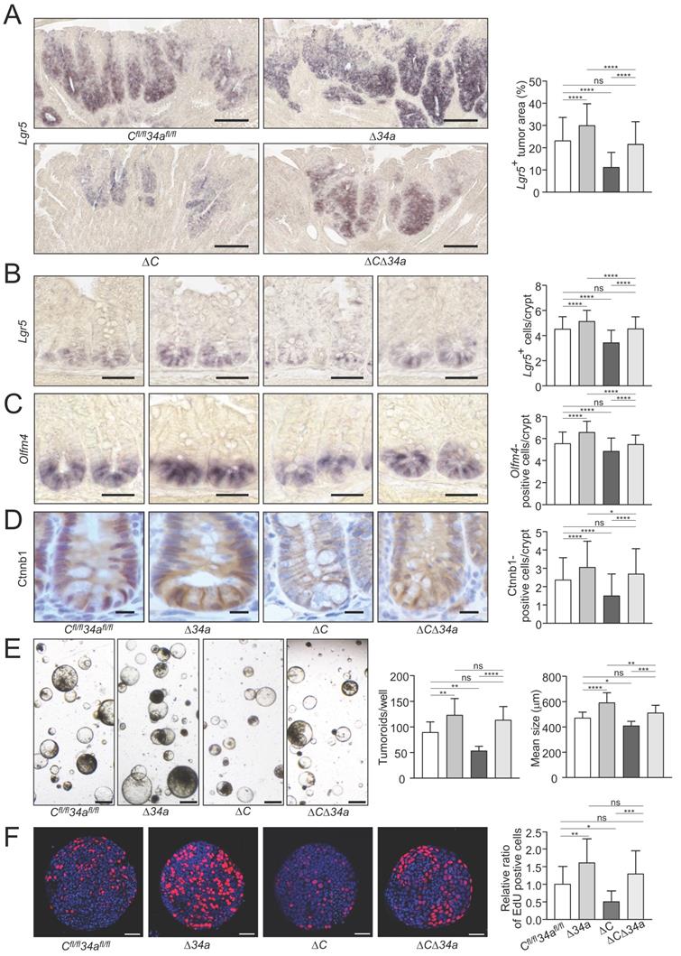 Int J Biol Sci Image