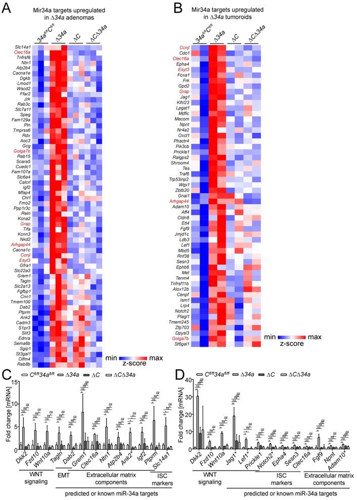 Int J Biol Sci Image