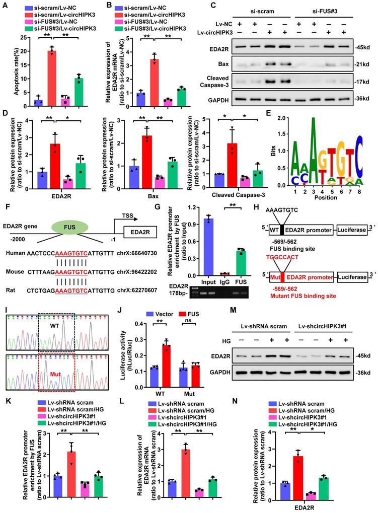 Int J Biol Sci Image
