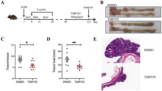 Int J Biol Sci Image
