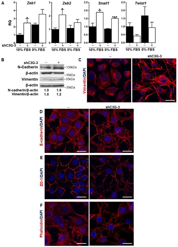 Int J Biol Sci Image