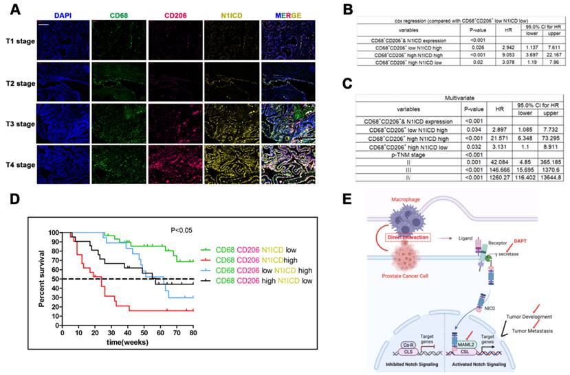 Int J Biol Sci Image