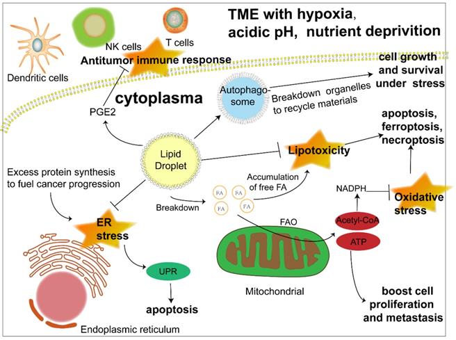 Int J Biol Sci Image