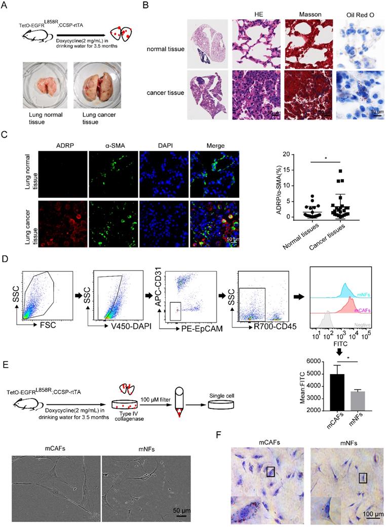 Int J Biol Sci Image