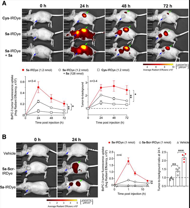 Int J Biol Sci Image