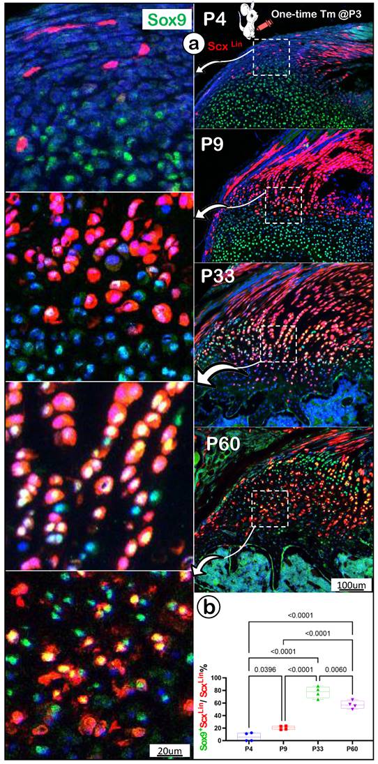 Int J Biol Sci Image