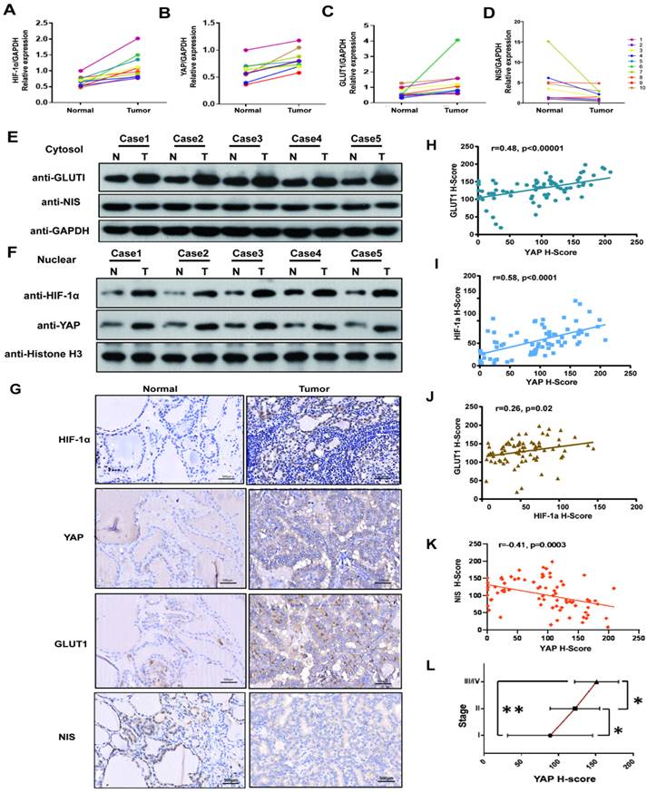 Int J Biol Sci Image