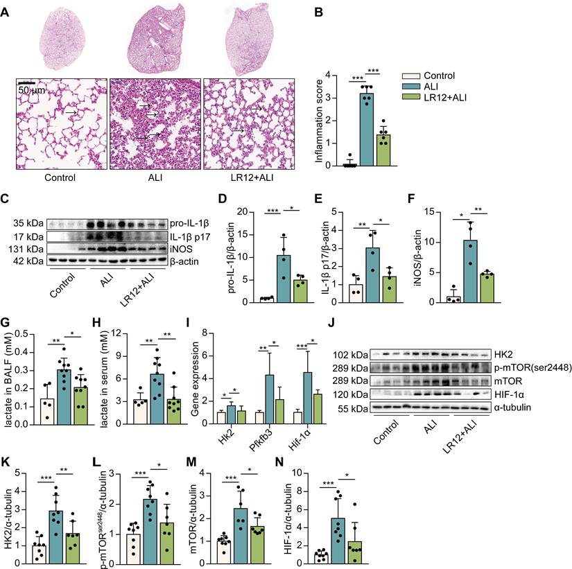 Int J Biol Sci Image