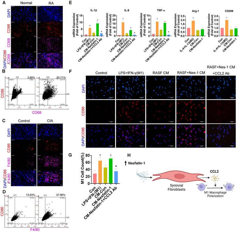 Int J Biol Sci Image