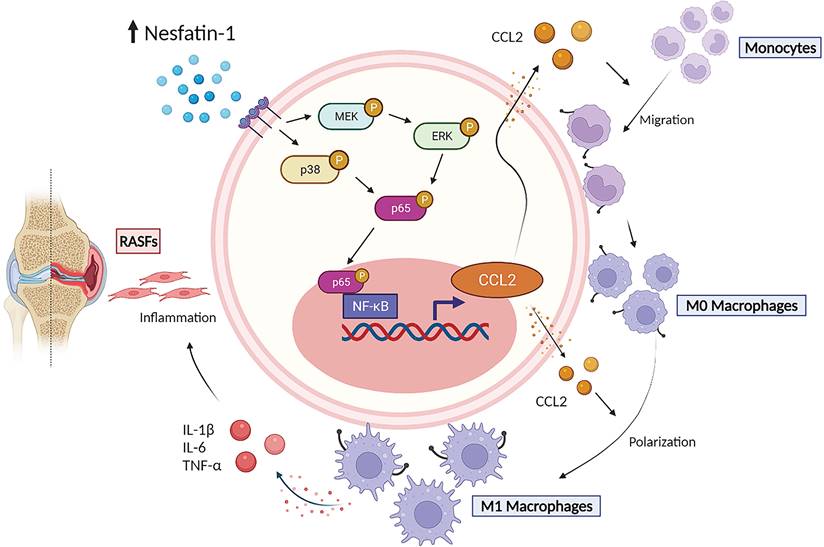 Int J Biol Sci Image