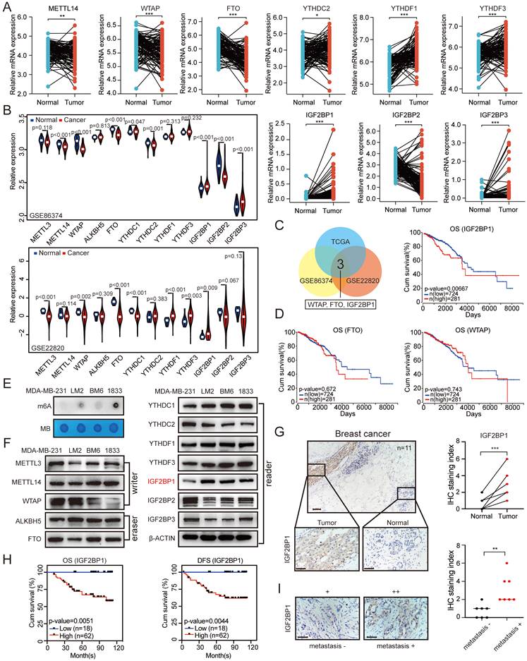 Int J Biol Sci Image
