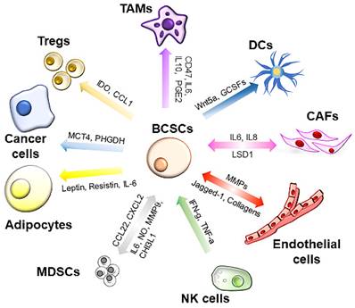 Int J Biol Sci Image