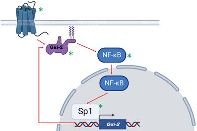 Int J Biol Sci Image